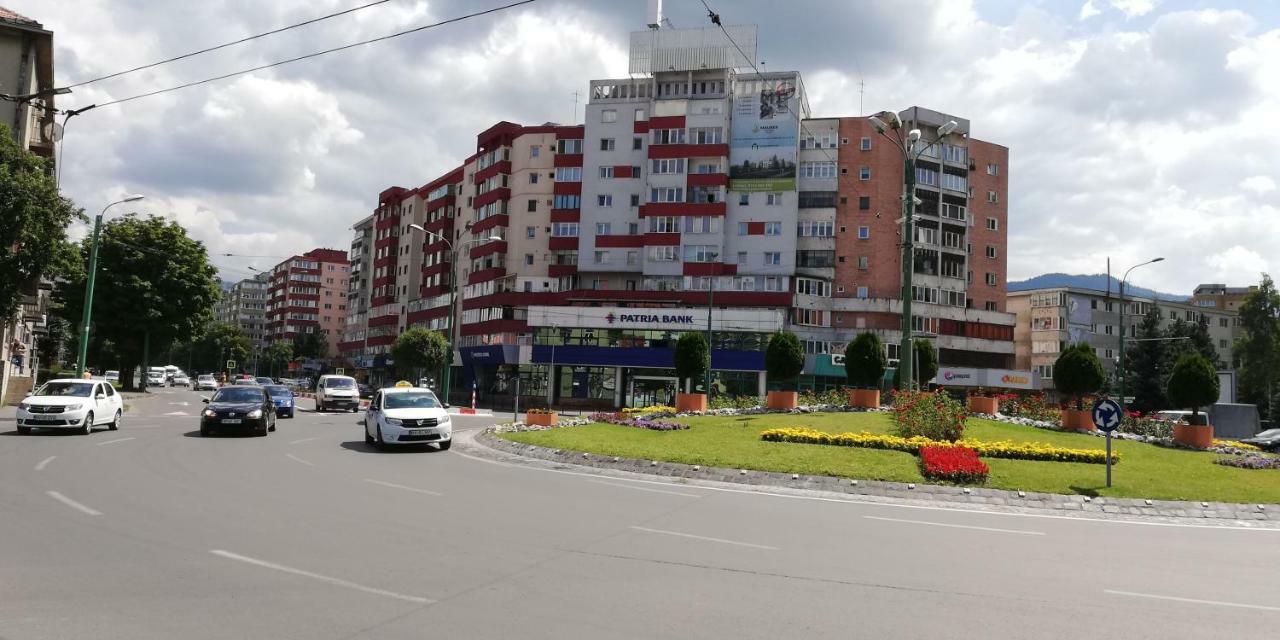 Ama Apartment Mountain View & Parking Braşov Exteriör bild